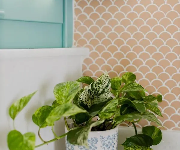 La Casa Degli Archi *